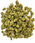 AMNESIA 30