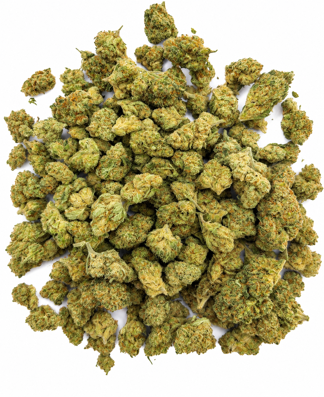 AMNESIA 30